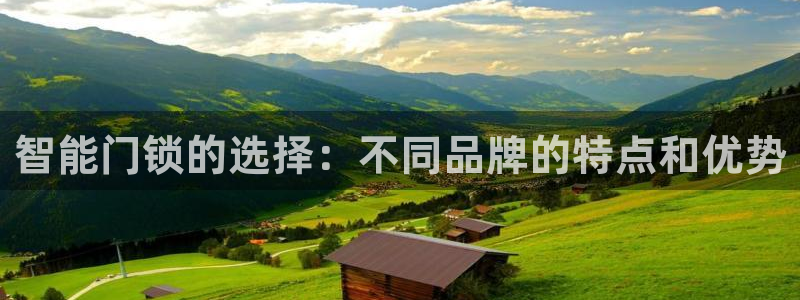 利记手机官网bb电子平台官方：智能门锁的选择：不同品牌的特点