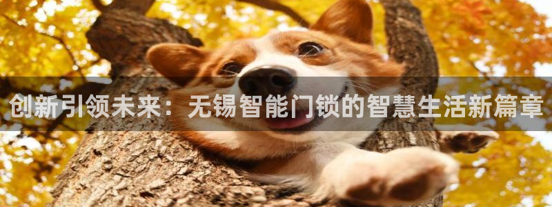 利记彩票官网：创新引领未来：无锡智能门锁的智慧生活新篇章