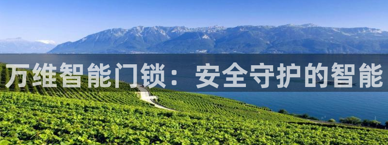 利记 利记官网：万维智能门锁：安全守护的智能