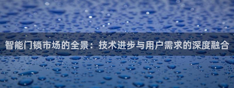 利记体育在线官网：智能门锁市场的全景：技术进步与用户需求的深