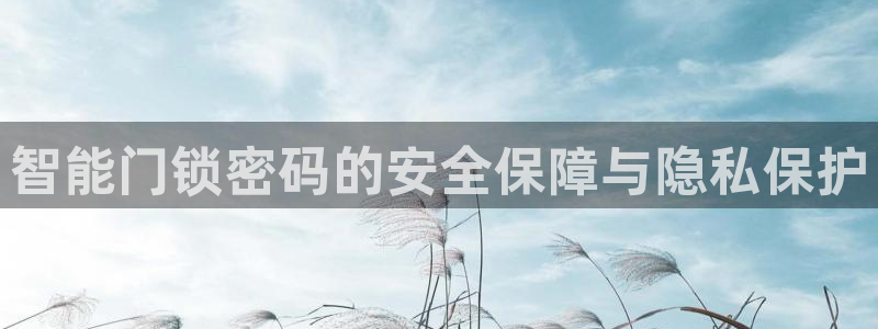 利记体育手机版官网：智能门锁密码的安全保障与隐私保护