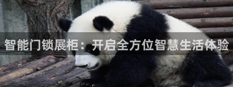 利记官网平台入口：智能门锁展柜：开启全方位智慧生活体验