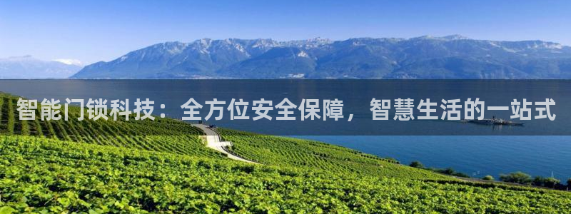 利记app官网真人游戏：智能门锁科技：全方位安全保障，智慧生