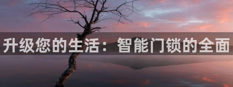 利记体育在线官网：升级您的生活：智能门锁的全面