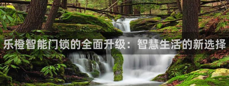 万利记官网电话：乐橙智能门锁的全面升级：智慧生活的新选择