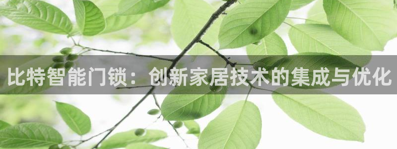 利记正式官网：比特智能门锁：创新家居技术的集成与优化