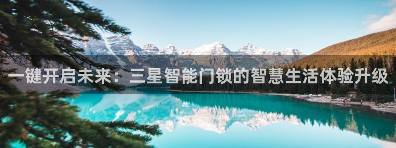 利记sbobet官网电脑版：一键开启未来：三星智能门锁的智慧