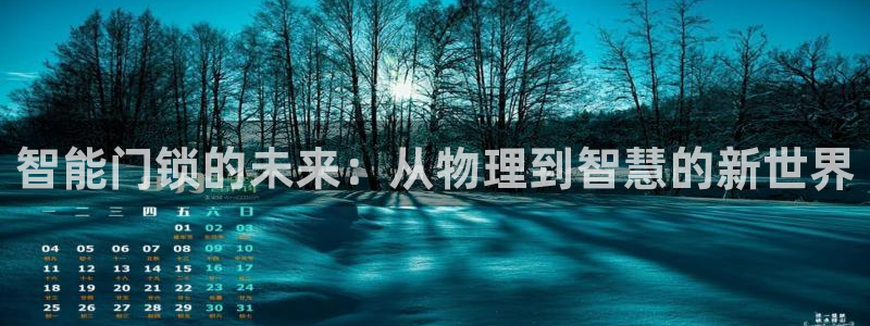 大利来记官网：智能门锁的未来：从物理到智慧的新世界