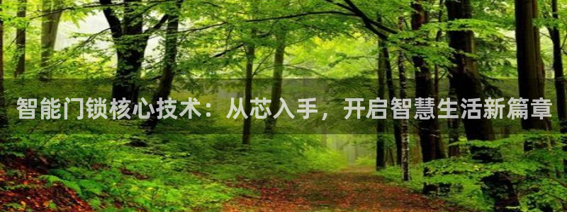 利记手机官网葡京备用：智能门锁核心技术：从芯入手，开启智慧生