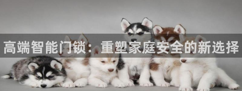 利记坊官网注册账号申请：高端智能门锁：重塑家庭安全的新选择