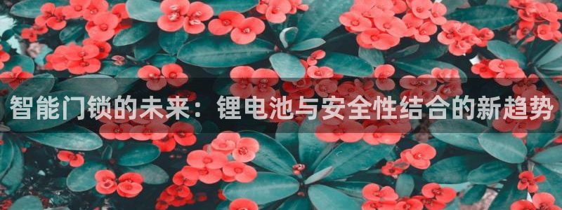 利记官网平台：智能门锁的未来：锂电池与安全性结合的新趋势