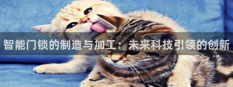 利记手机官网银河网：智能门锁的制造与加工：未来科技引领的创新