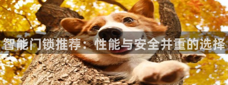 利记 利记官网：智能门锁推荐：性能与安全并重的选择