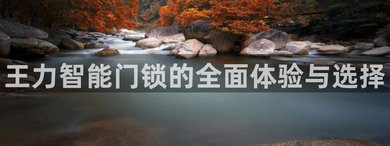 利记体育在线官网：王力智能门锁的全面体验与选择