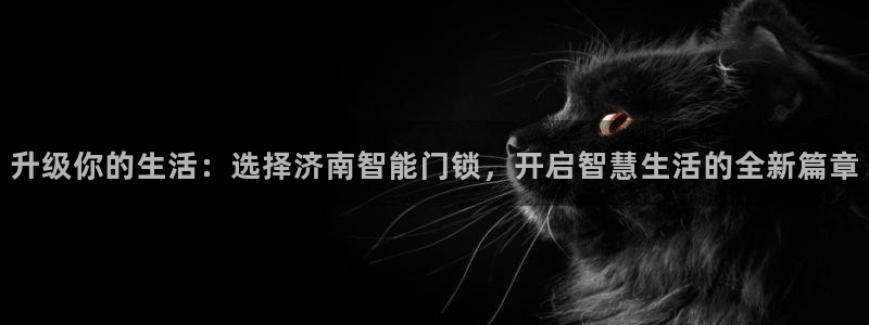 万利记唯一官网：升级你的生活：选择济南智能门锁，开启智慧生活