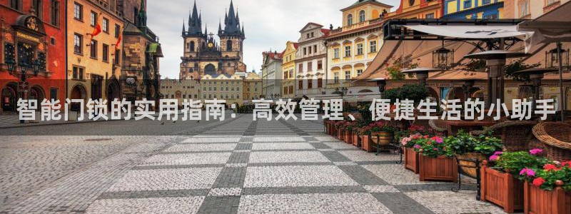 利记官网a：智能门锁的实用指南：高效管理、便捷生活的小助手
