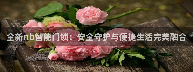 利记sbobet官网电脑版：全新nb智能门锁：安全守护与便捷
