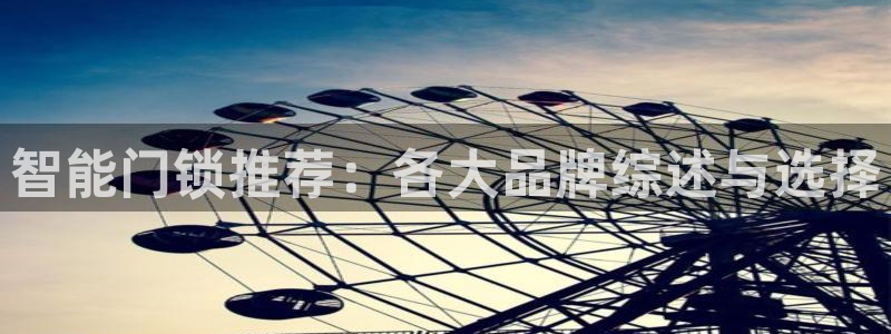 利记现场官网：智能门锁推荐：各大品牌综述与选择
