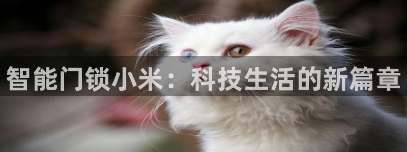 利记手机官网葡京备用：智能门锁小米：科技生活的新篇章