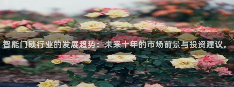 新利记官网：智能门锁行业的发展趋势：未来十年的市场前景与投资