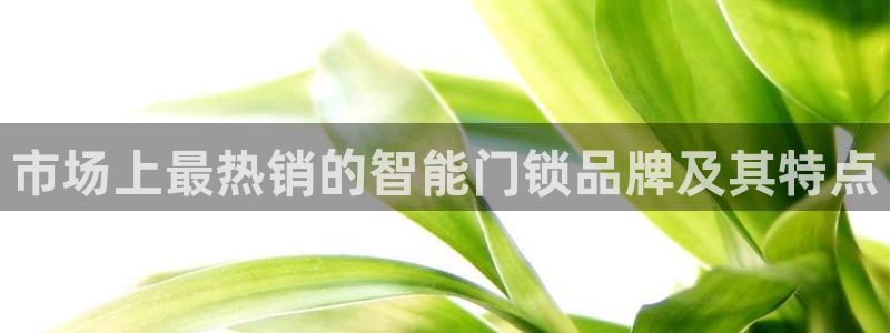 利记sbobet官网：市场上最热销的智能门锁品牌及其特点