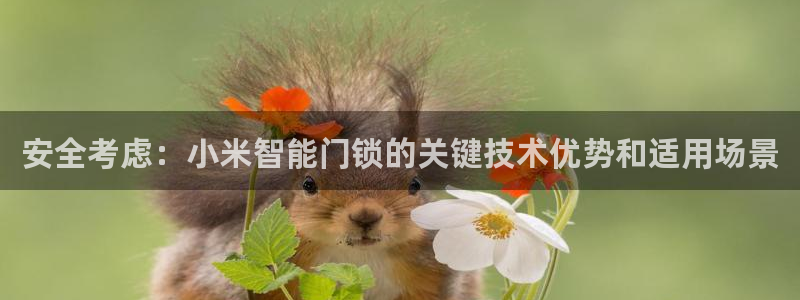 利记官网香菜1：安全考虑：小米智能门锁的关键技术优势和适用场