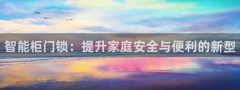 铂利记旗舰店官网：智能柜门锁：提升家庭安全与便利的新型