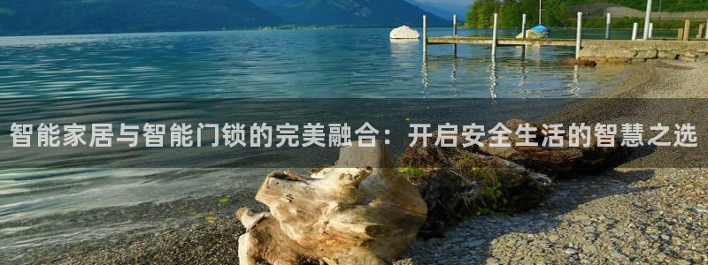 大利来记官网：智能家居与智能门锁的完美融合：开启安全生活的智