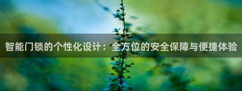 利记bet官网登录入口：智能门锁的个性化设计：全方位的安全保