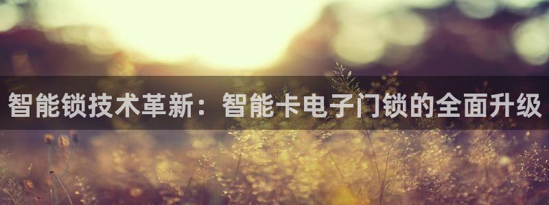 利记官网app下载网址：智能锁技术革新：智能卡电子门锁的全面