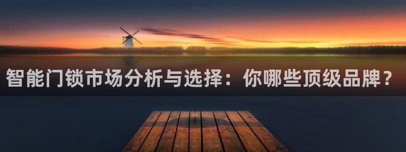 林利记官网：智能门锁市场分析与选择：你哪些顶级品牌？