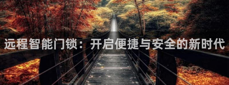 万利记官网电话：远程智能门锁：开启便捷与安全的新时代