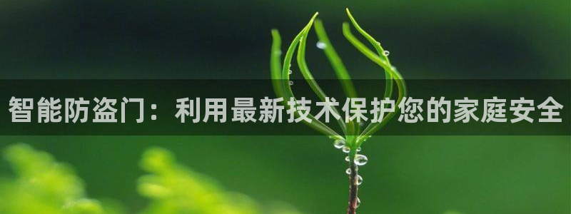利记sbobet官网：智能防盗门：利用最新技术保护您的家庭安