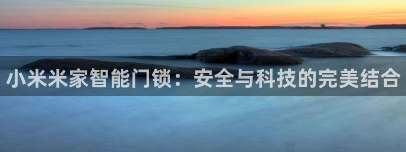 利记官网登录入口：小米米家智能门锁：安全与科技的完美结合