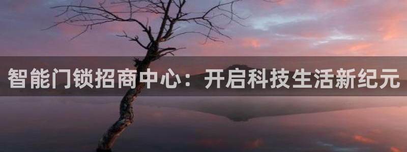 澳门大利来记官网：智能门锁招商中心：开启科技生活新纪元