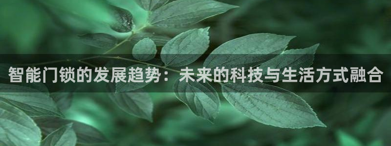 万利记菜单价格查询官网：智能门锁的发展趋势：未来的科技与生活