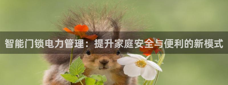 利记坊官网注册账号申请：智能门锁电力管理：提升家庭安全与便利