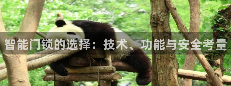 利记彩票导航网址官网hd71：智能门锁的选择：技术、功能与安