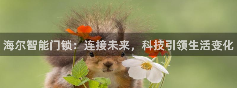 利记坊官网注册：海尔智能门锁：连接未来，科技引领生活变化