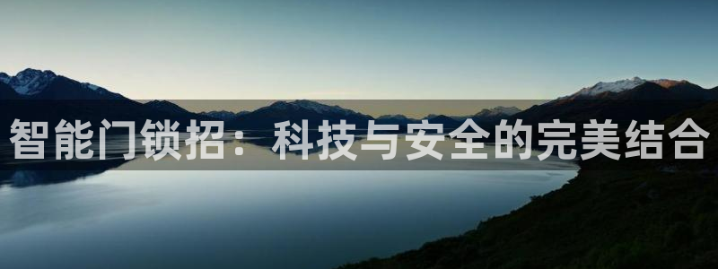利记现场官网：智能门锁招：科技与安全的完美结合