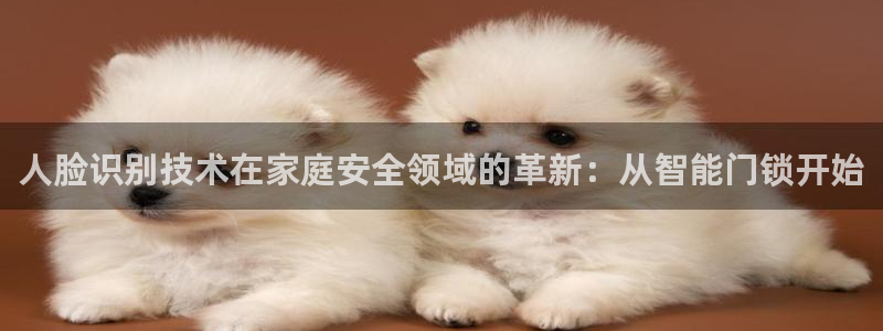 利记官网葡京投注网址：人脸识别技术在家庭安全领域的革新：从智