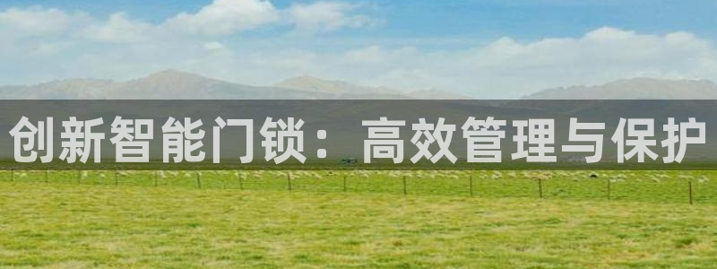 利记官网平台：创新智能门锁：高效管理与保护