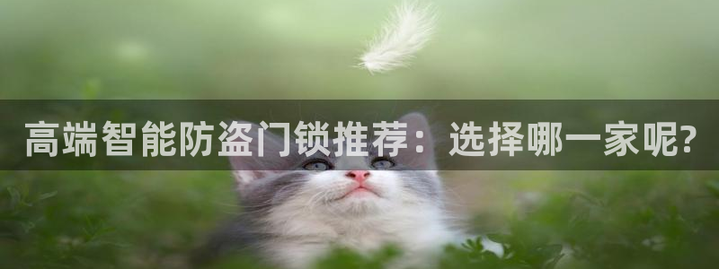 利记官网app下载：高端智能防盗门锁推荐：选择哪一家呢?