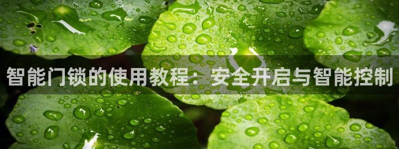 利记官网平台入口：智能门锁的使用教程：安全开启与智能控制