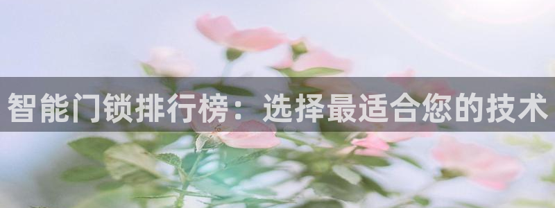 万利记官网：智能门锁排行榜：选择最适合您的技术