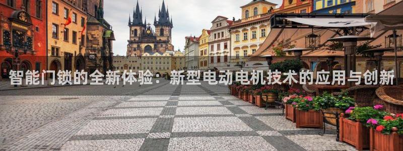 利记官网是真的吗：智能门锁的全新体验：新型电动电机技术的应用
