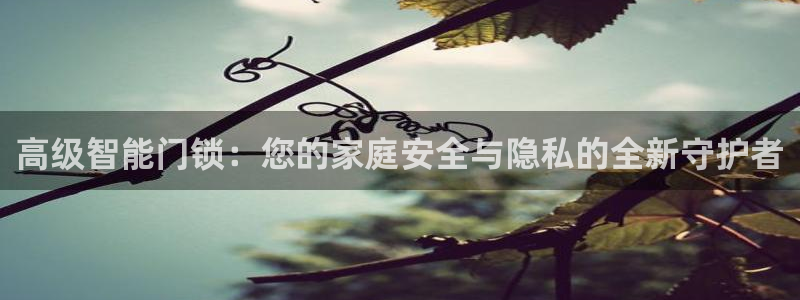 利记足球官网：高级智能门锁：您的家庭安全与隐私的全新守护者