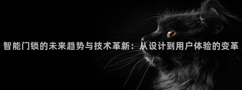 利记sbobet官网电脑版：智能门锁的未来趋势与技术革新：从