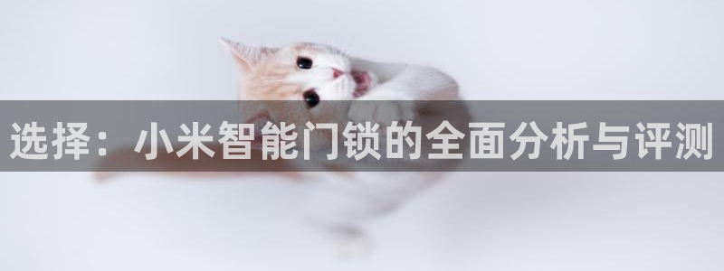 利记投注平台官网：选择：小米智能门锁的全面分析与评测