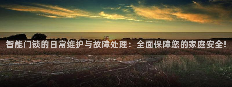 大利来记官网：智能门锁的日常维护与故障处理：全面保障您的家庭